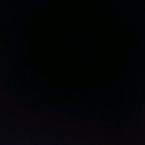 Meet your Posher, Braxton